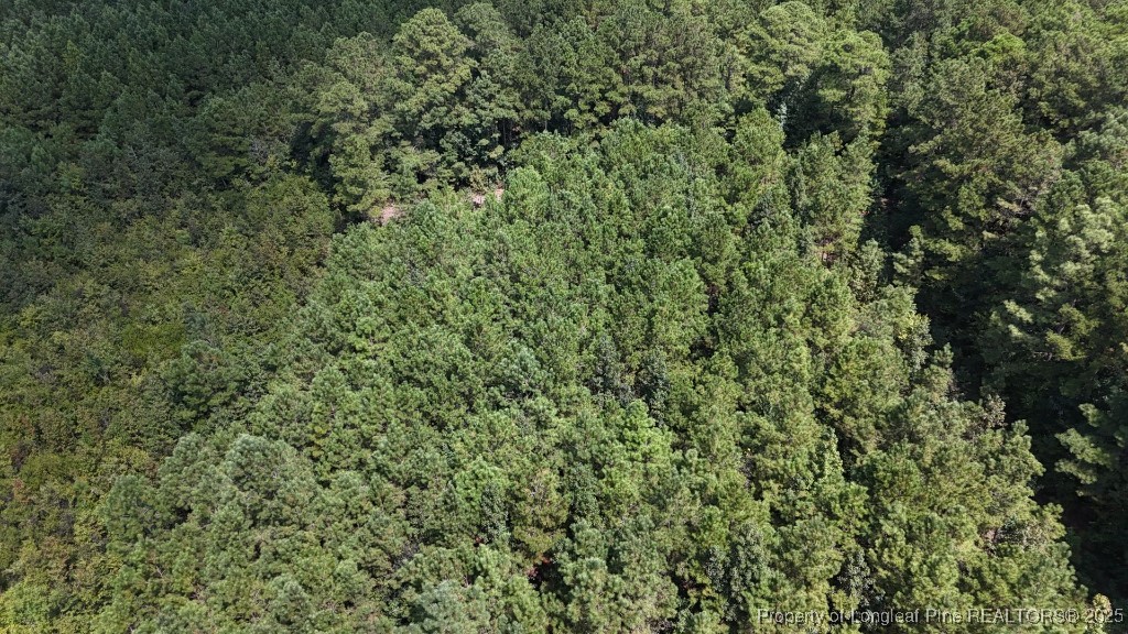 1334 Rice Road Lumberton, NC 28358 - Photo 6 of 25