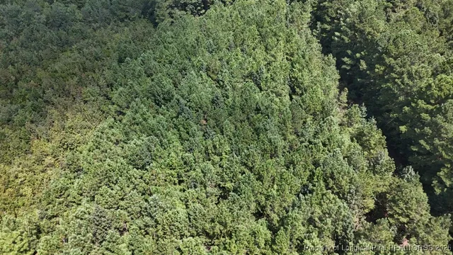 $39,900 | 1334 Rice Road, Lumberton, NC 28358