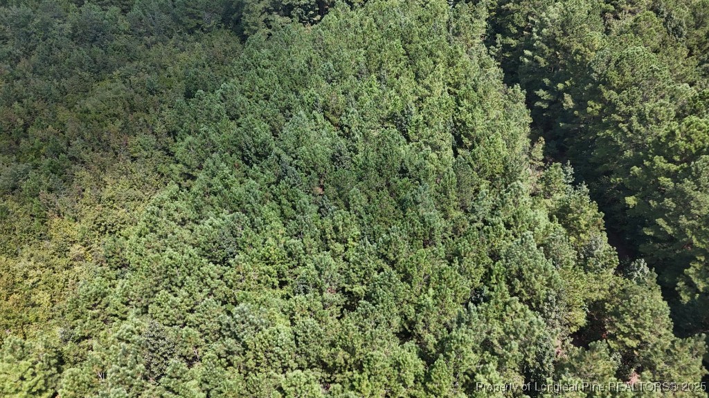 1334 Rice Road Lumberton, NC 28358 - Photo 7 of 25