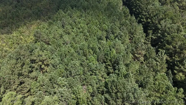 $39,900 | 1334 Rice Road, Lumberton, NC 28358