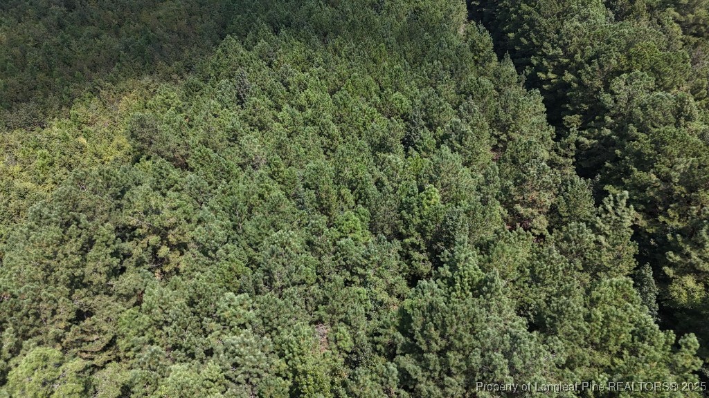 1334 Rice Road Lumberton, NC 28358 - Photo 8 of 25