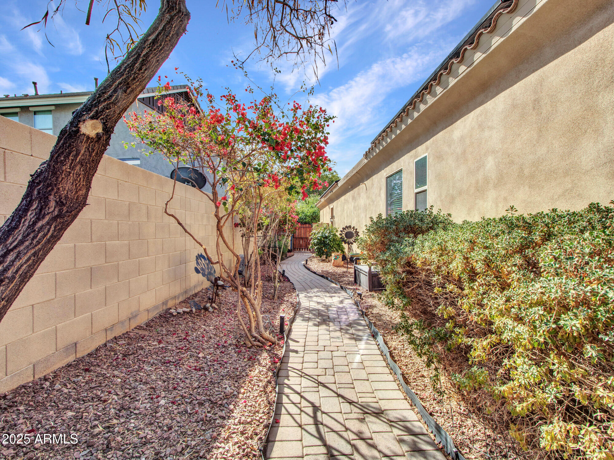 2957 North Riley Court Buckeye, AZ 85396 - Photo 74 of 86 23-Side yard