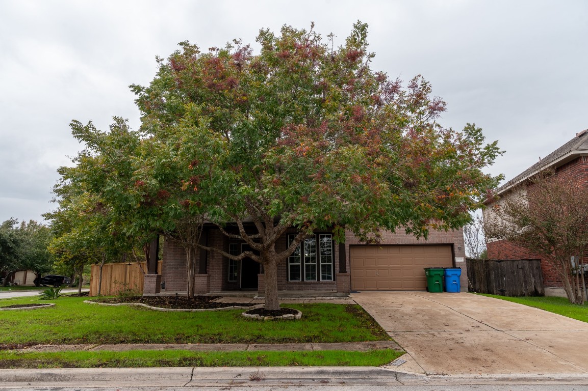 a front view of a house with a yard and trees