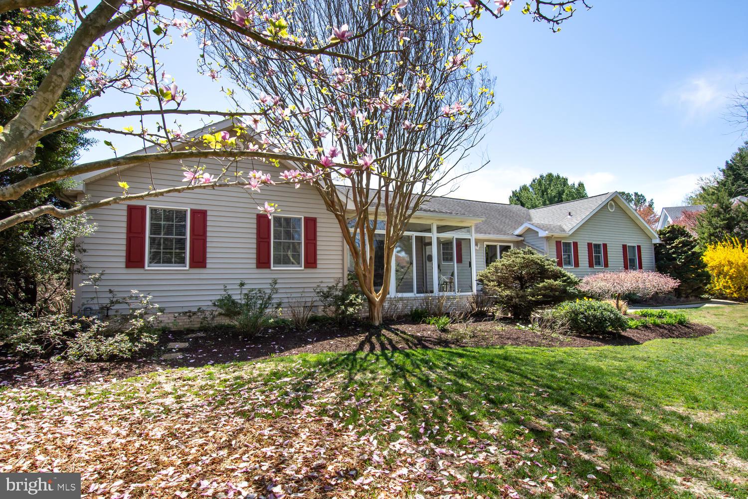 5 Papermill Street Easton, MD 21601 - Photo 5 of 47
