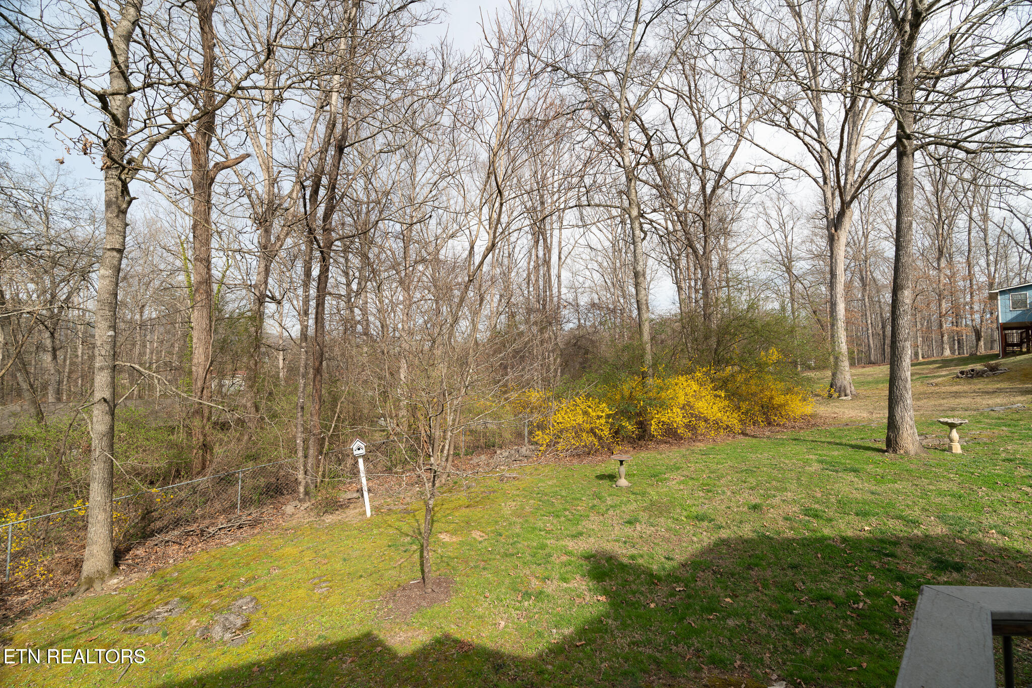 1505 Timber Trail Newport, TN 37821 - Photo 39 of 46 untitled-39