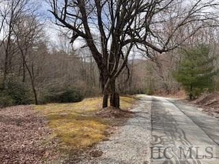 Lot 4 Hive Road Glenville, NC 28736 - Photo 3 of 14 Gallery Image 3