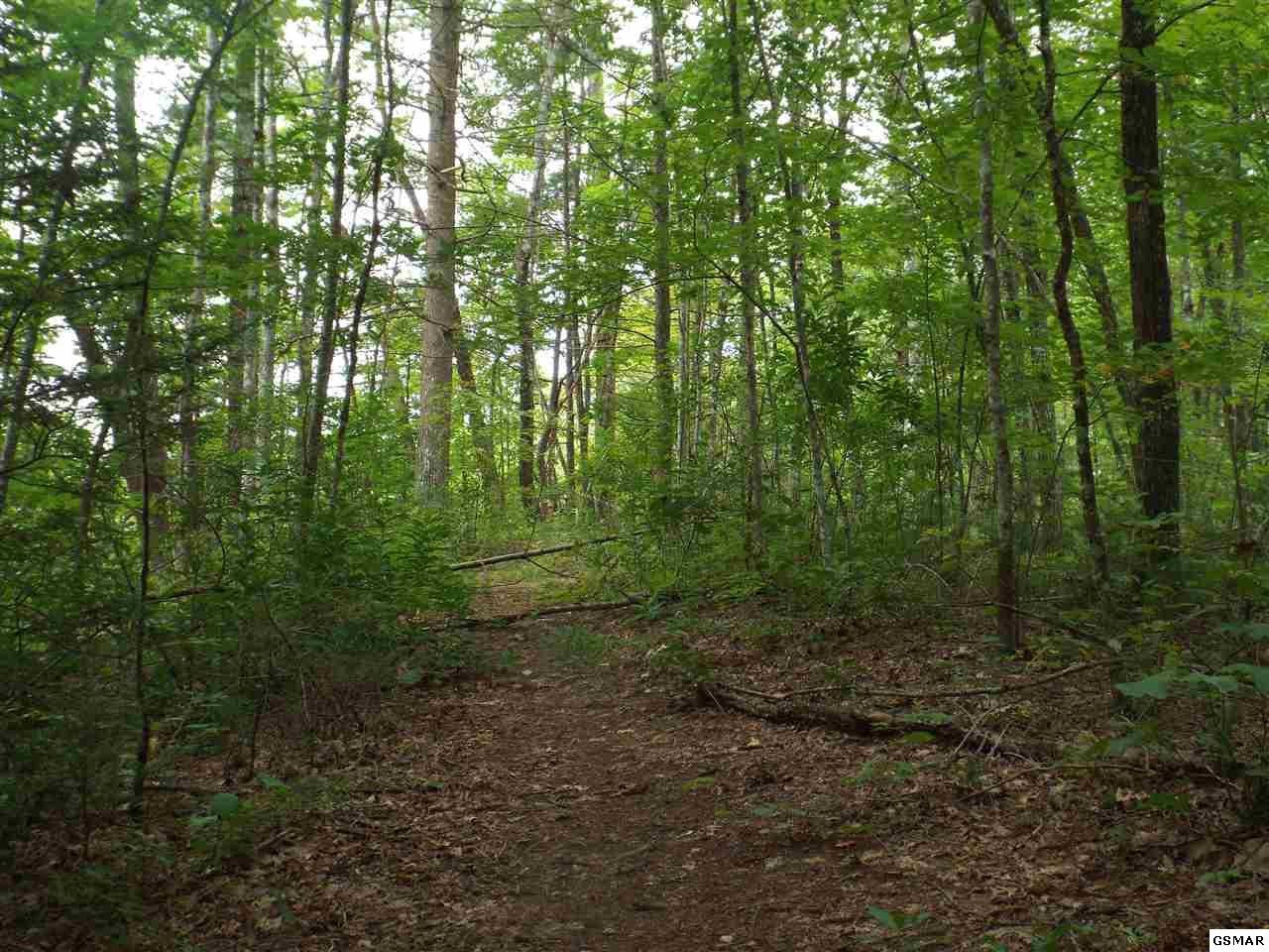 0 Huskey Grove Road Sevierville, TN 37876 - Photo 3 of 11