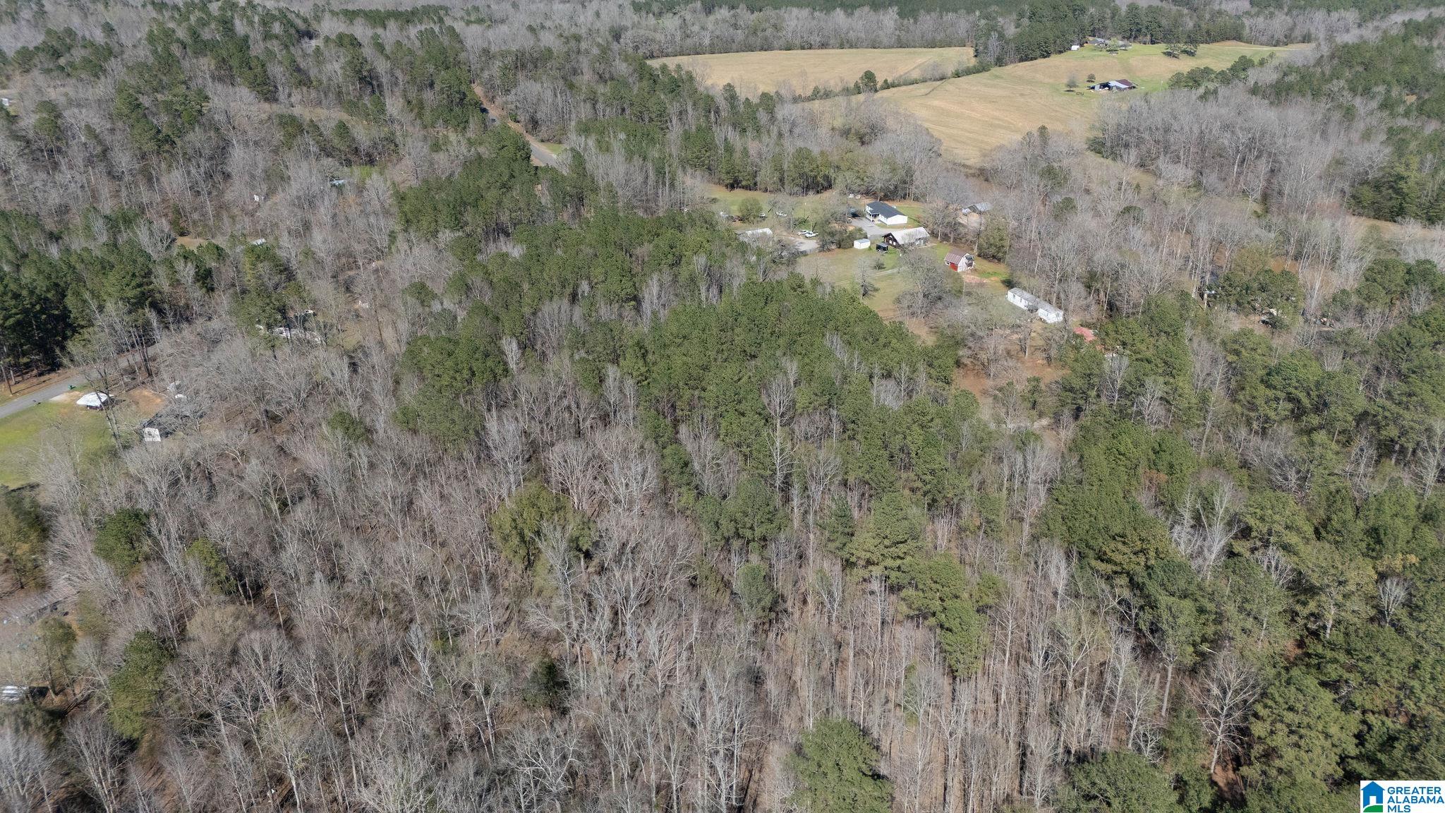 29 North Northview Circle, Unit 29 Northport, AL 35475 - Photo 14 of 16