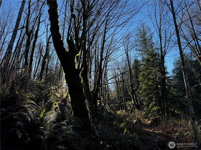 $699,999 | 49424 Index-Galena Road, Gold Bar, WA 98251