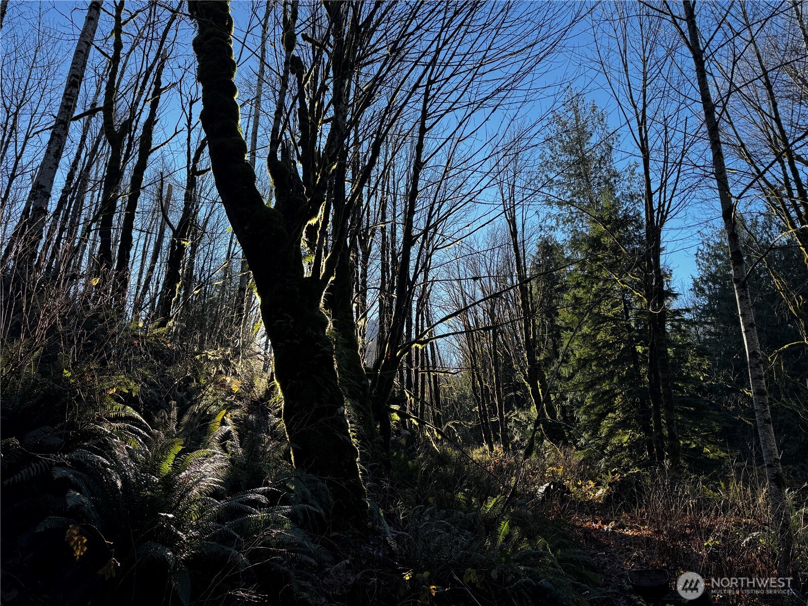 49424 Index-Galena Road Gold Bar, WA 98251 - Photo 17 of 17