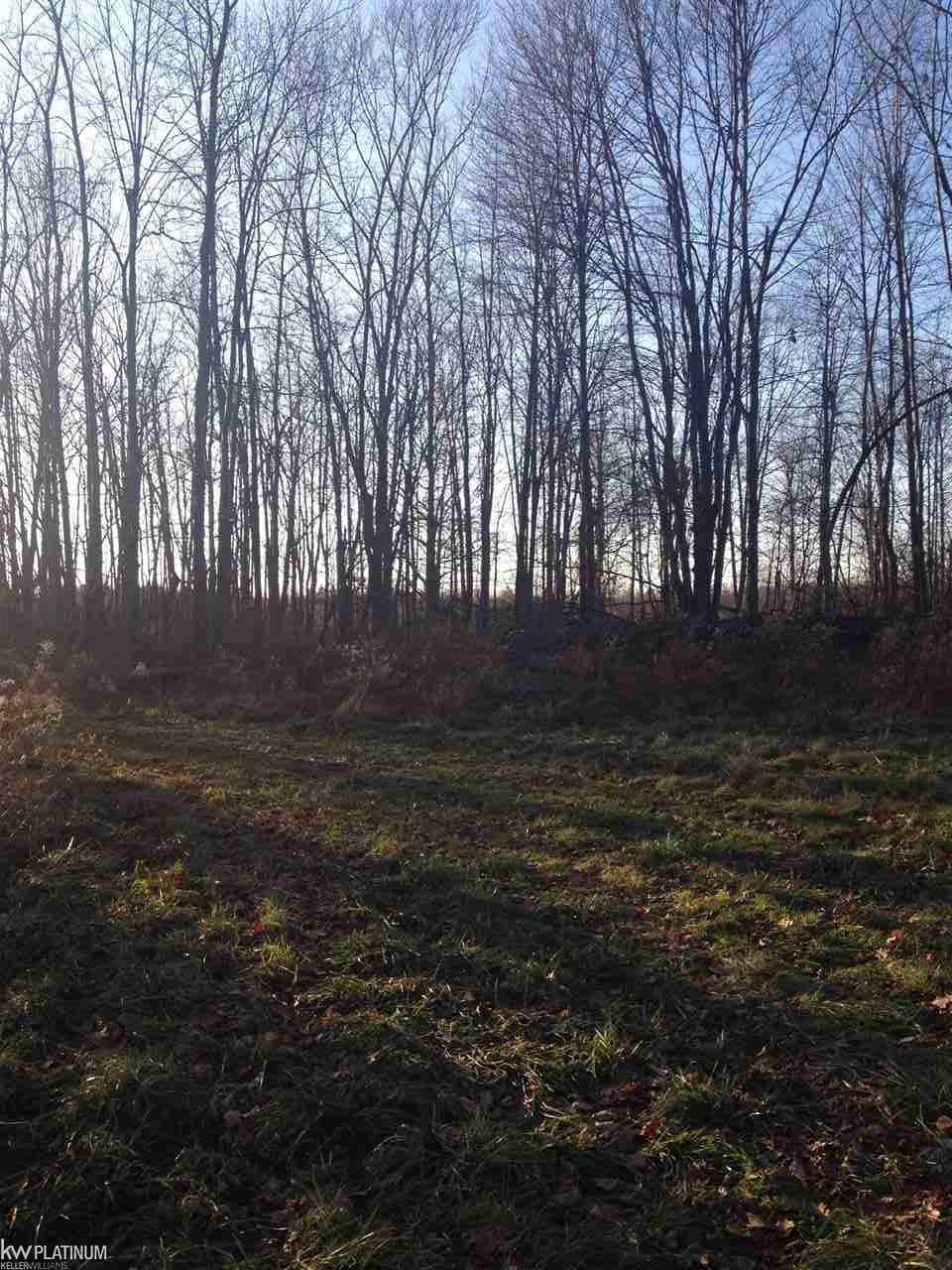 5732 Metcalf Road Jeddo, MI 48032 - Photo 4 of 6
