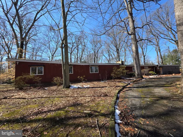 a street view with large trees