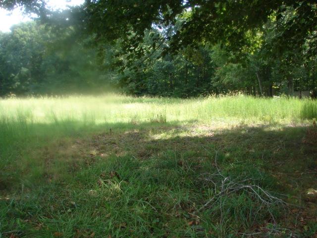 191 Pea Ridge Road Westmoreland, TN 37186 - Photo 1 of 2 Gallery Image 1