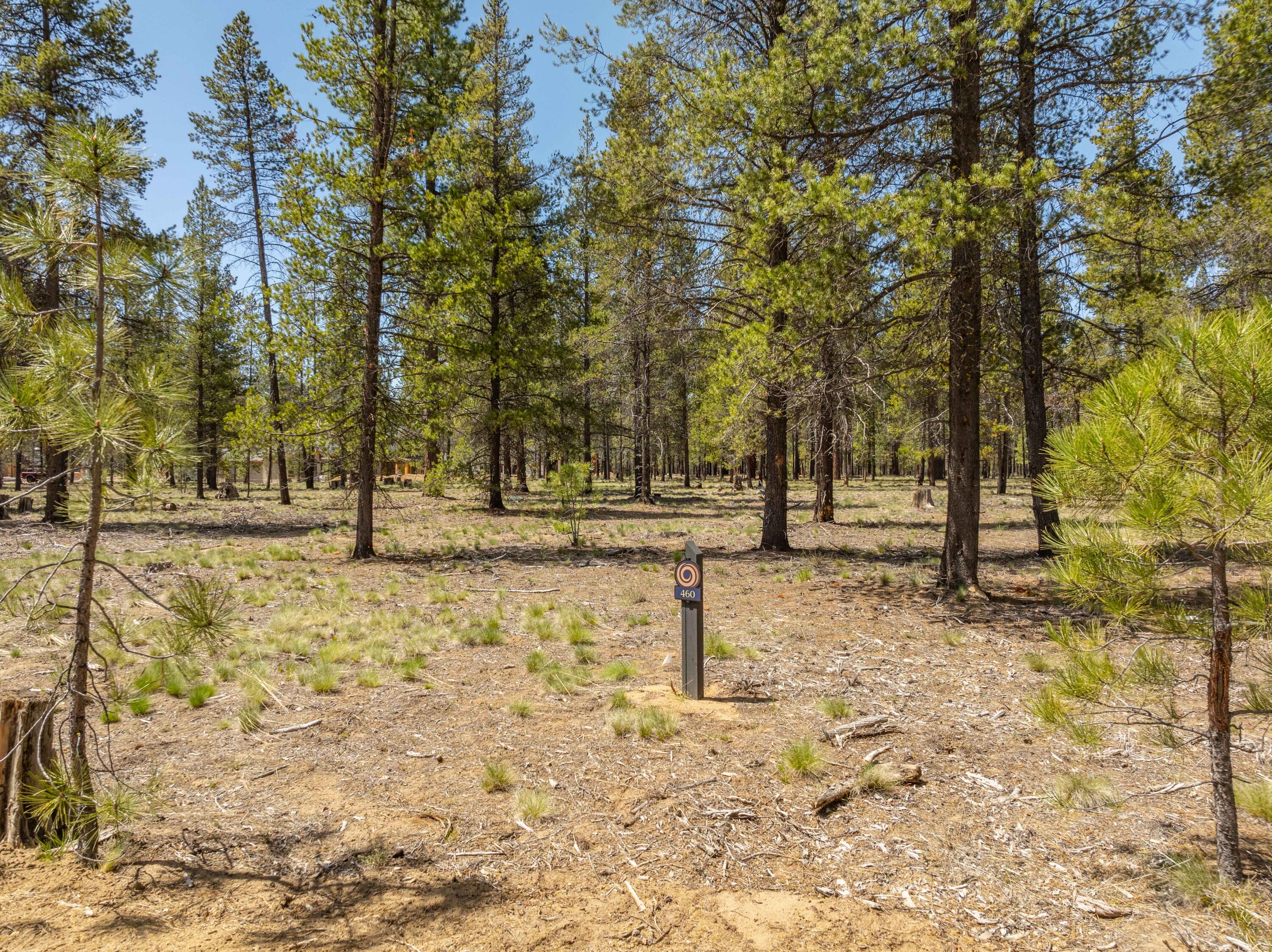 DJI_0043-HDR