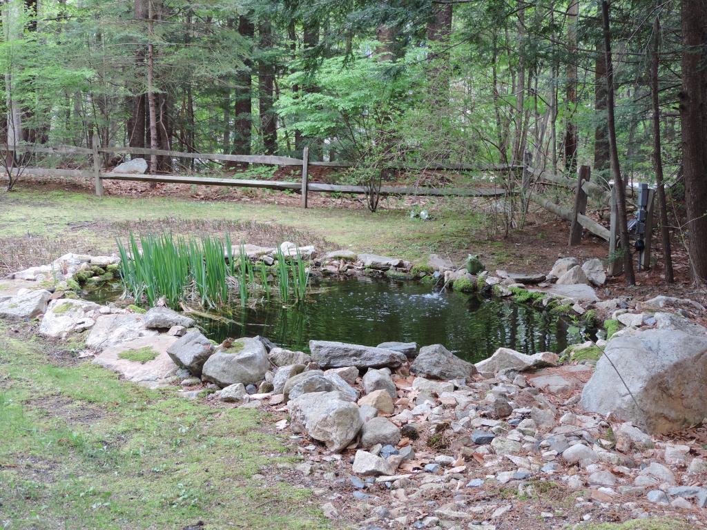194 Colby Road Danville, NH 03819 - Photo 22 of 25 Gallery Image 22