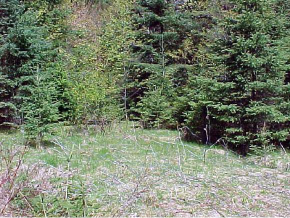 0 East Hill Road Peacham, VT 05862 - Photo 1 of 1
