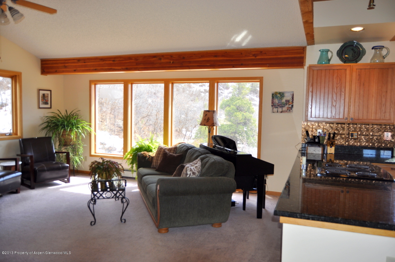 774 7 Oaks Road Carbondale, CO 81623 - Photo 15 of 67 DSC_0253