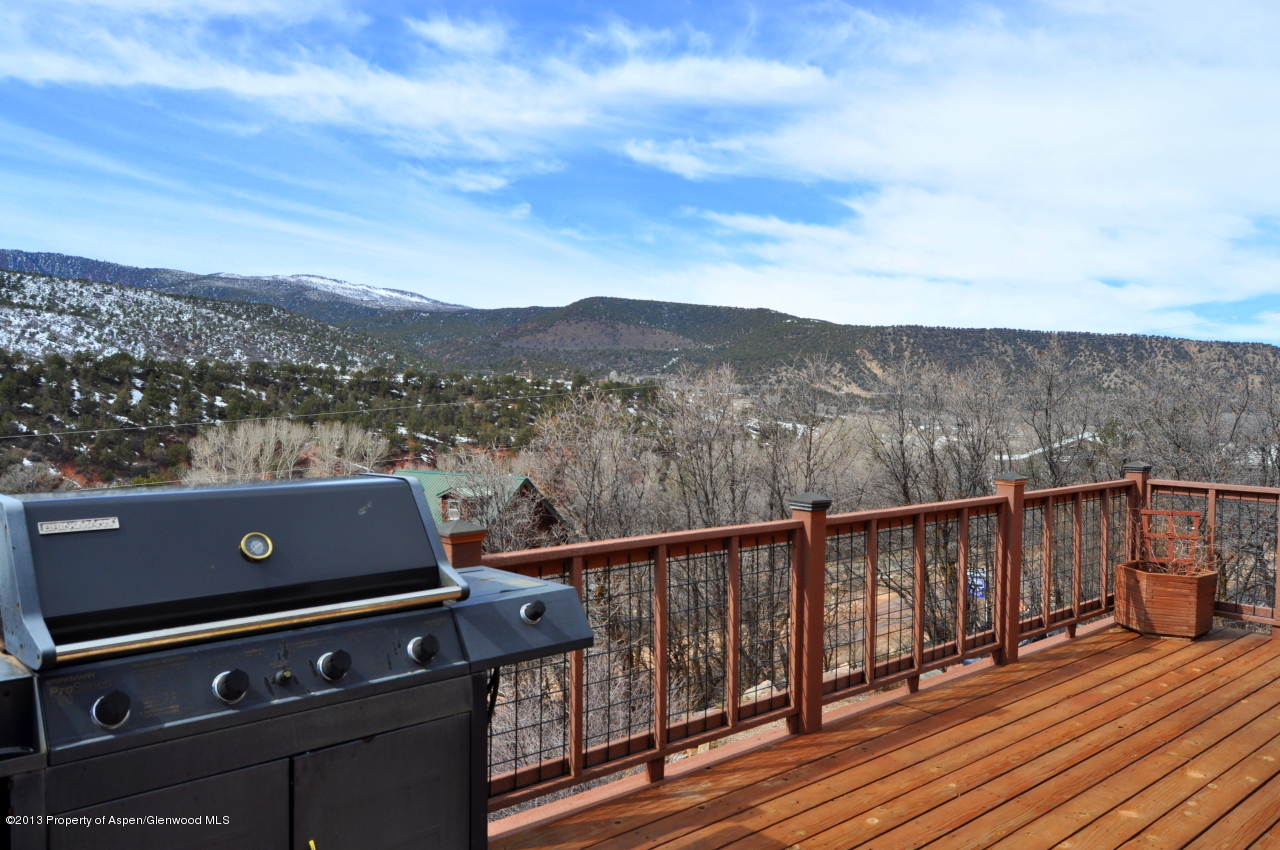 774 7 Oaks Road Carbondale, CO 81623 - Photo 16 of 67 DSC_0258