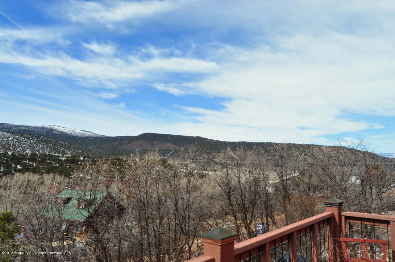 774 7 Oaks Road Carbondale, CO 81623 - Photo 17 of 67 DSC_0262