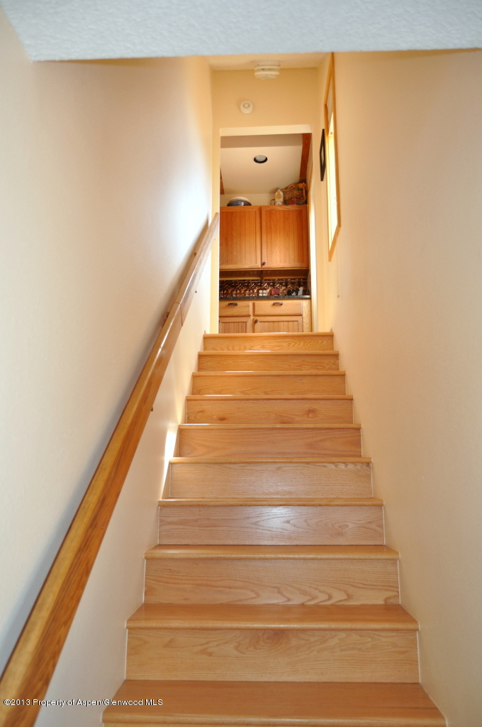 774 7 Oaks Road Carbondale, CO 81623 - Photo 18 of 67 DSC_0263