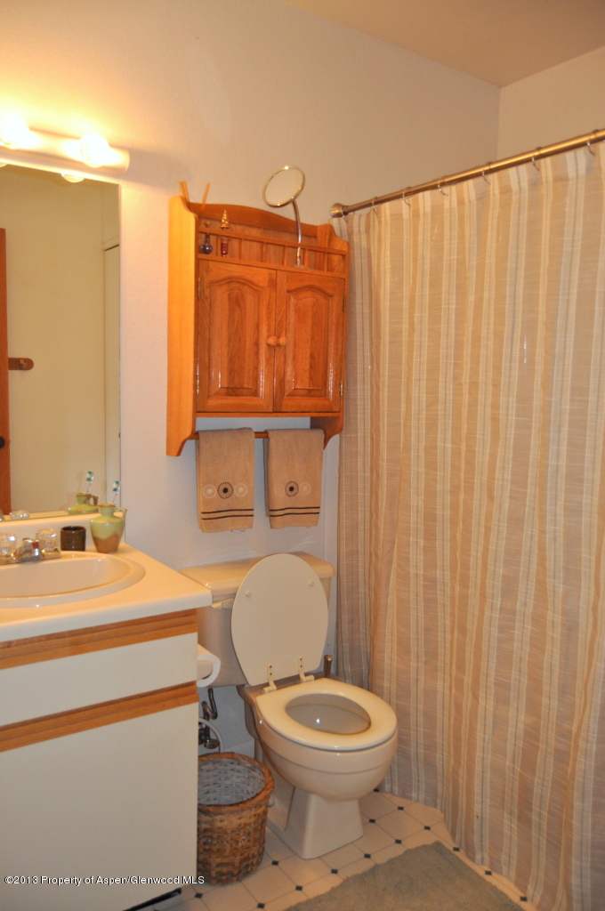 774 7 Oaks Road Carbondale, CO 81623 - Photo 20 of 67 DSC_0266