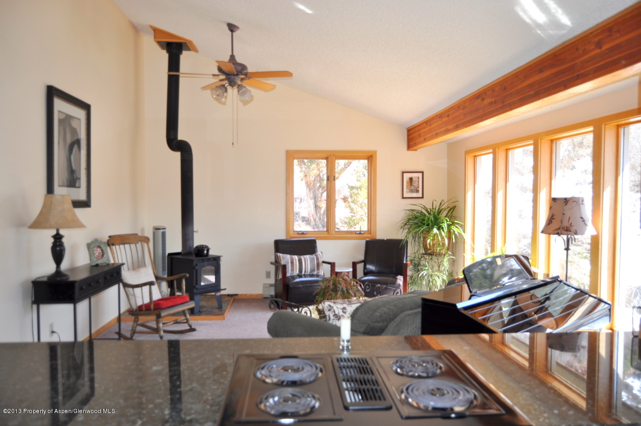 774 7 Oaks Road Carbondale, CO 81623 - Photo 2 of 67 DSC_0232