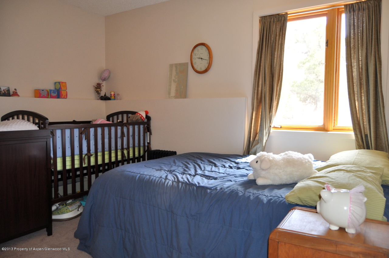 774 7 Oaks Road Carbondale, CO 81623 - Photo 23 of 67 DSC_0274
