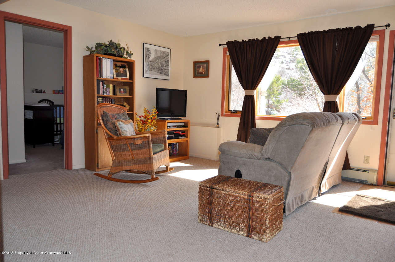 774 7 Oaks Road Carbondale, CO 81623 - Photo 27 of 67 DSC_0282