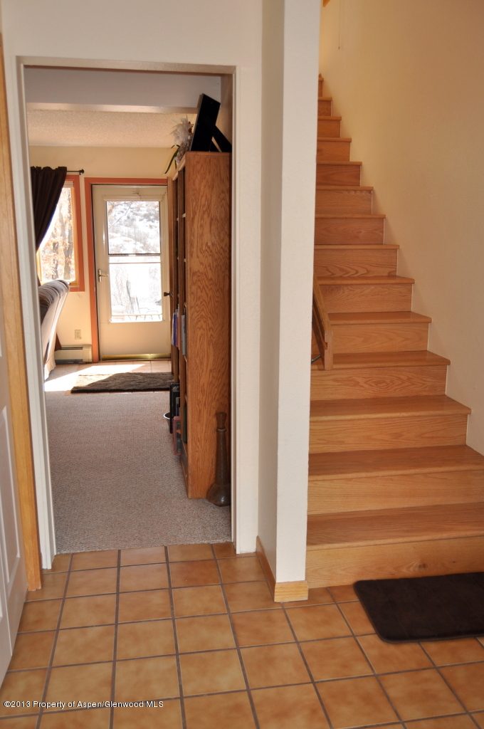 774 7 Oaks Road Carbondale, CO 81623 - Photo 28 of 67 DSC_0284
