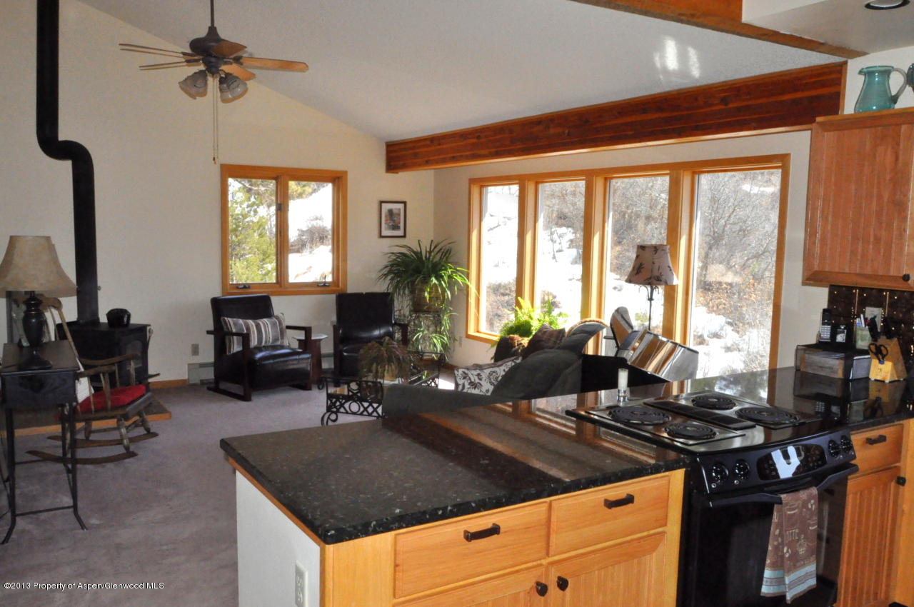 774 7 Oaks Road Carbondale, CO 81623 - Photo 4 of 67 DSC_0235