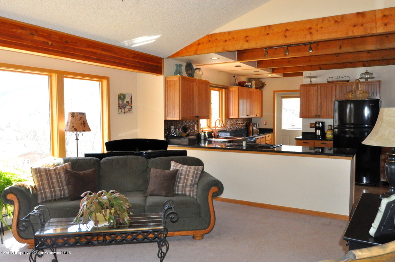 774 7 Oaks Road Carbondale, CO 81623 - Photo 6 of 67 DSC_0238