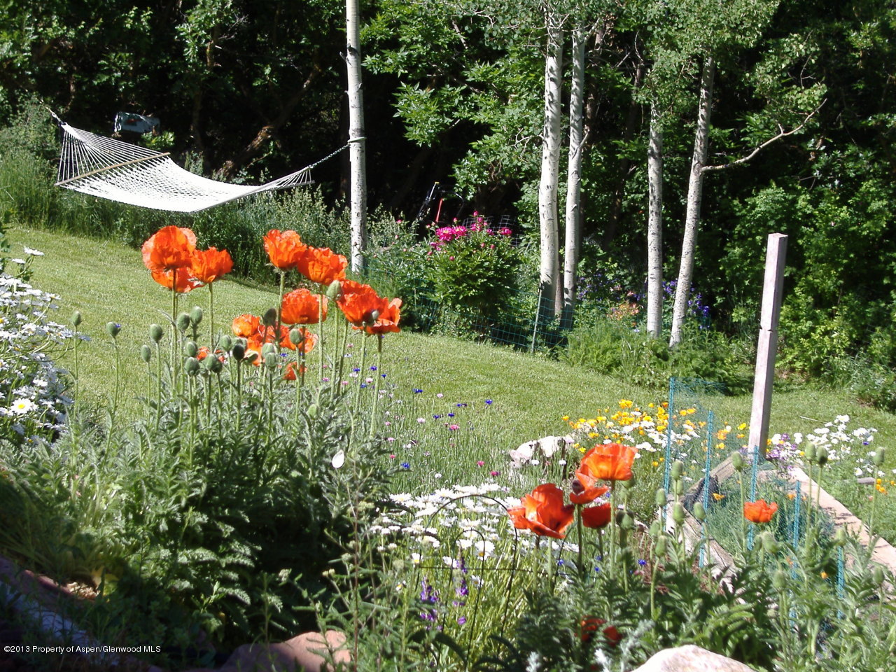 774 7 Oaks Road Carbondale, CO 81623 - Photo 65 of 67 misc07 083