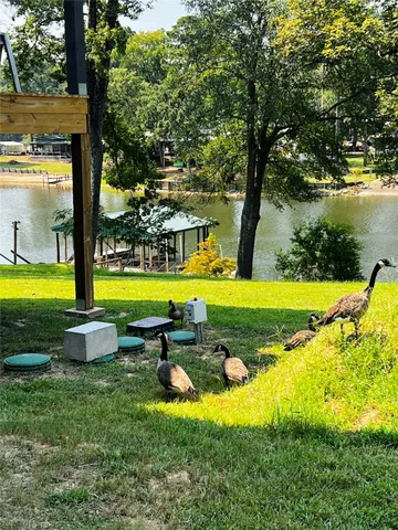a view of backyard with swimming pool