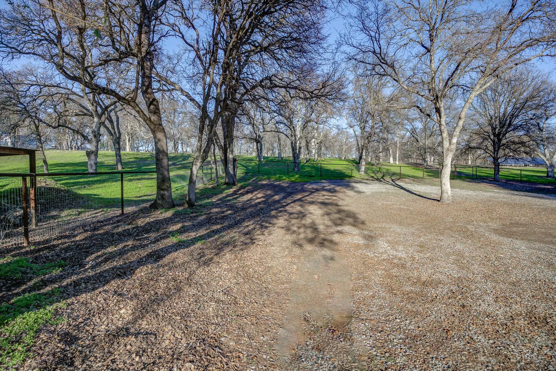 14300 Molluc Drive Red Bluff, CA 96080 - Photo 12 of 48 a view of a backyard with green space