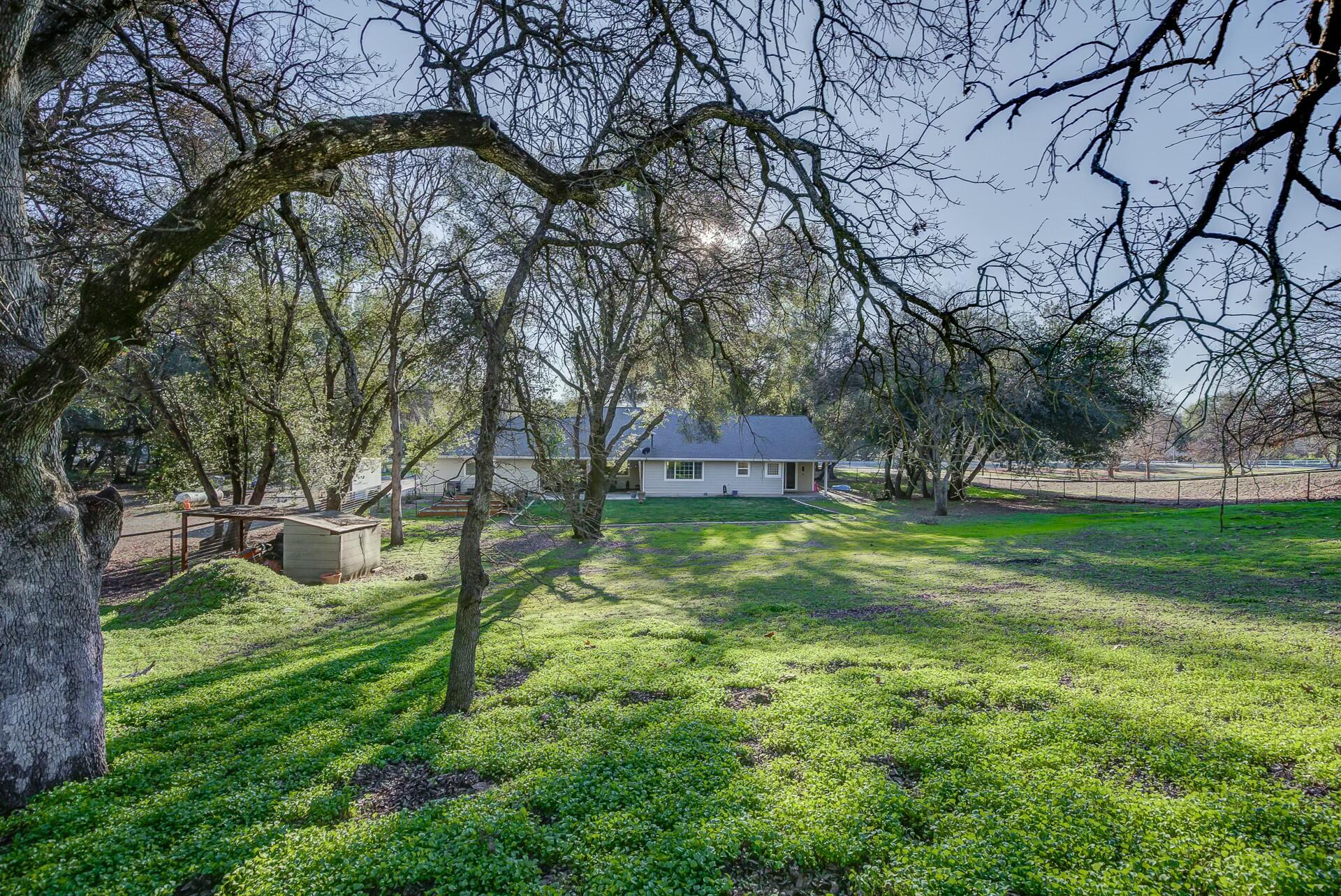 14300 Molluc Drive Red Bluff, CA 96080 - Photo 5 of 48 a backyard of a house with lots of green space