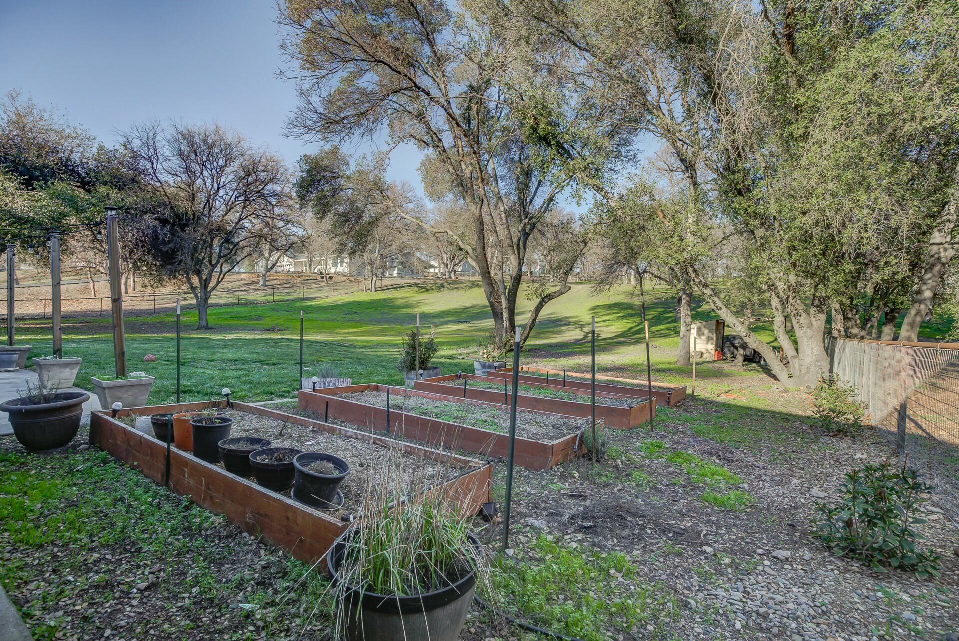 14300 Molluc Drive Red Bluff, CA 96080 - Photo 8 of 48 a view of a park with large trees