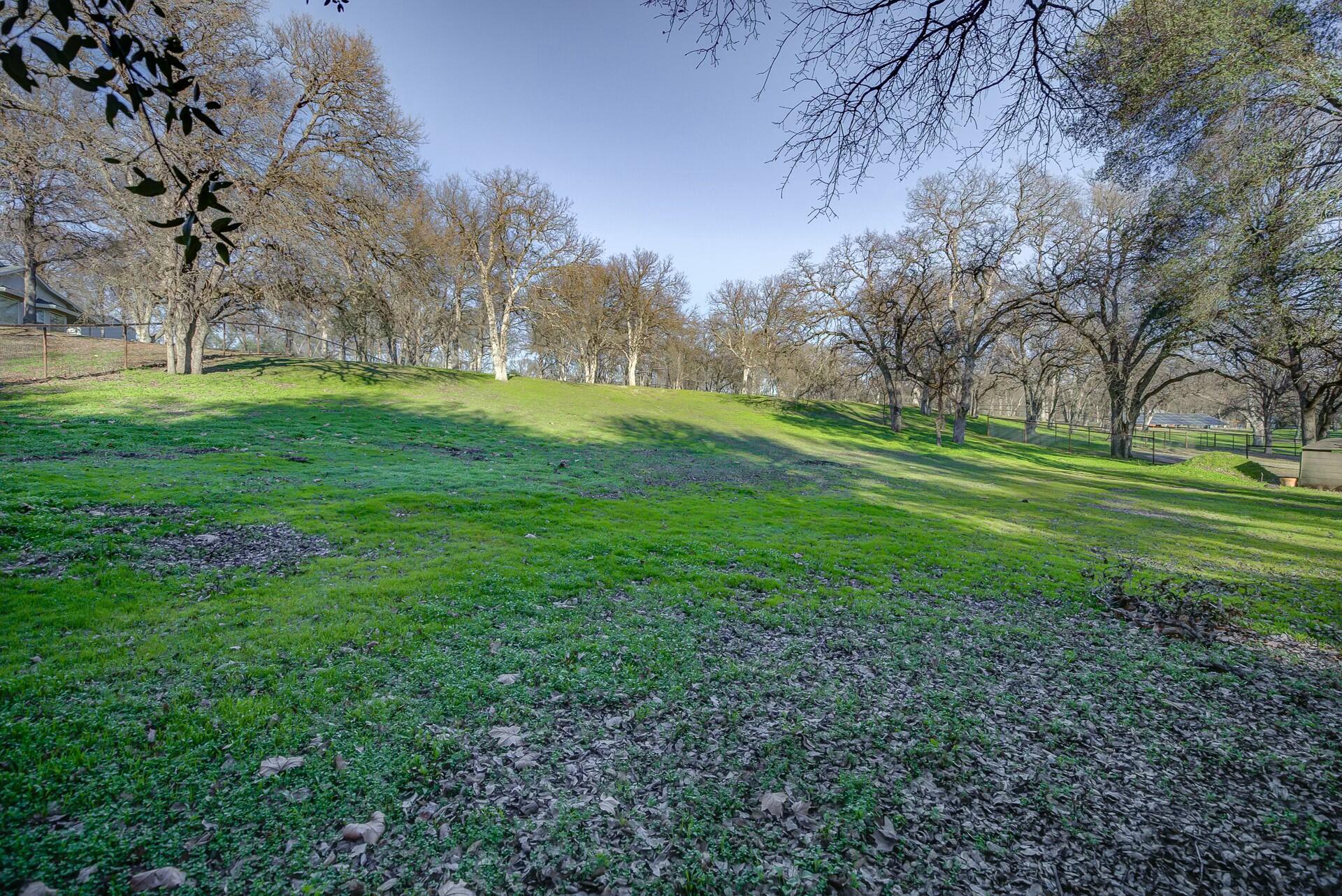 14300 Molluc Drive Red Bluff, CA 96080 - Photo 10 of 48 a view of a park