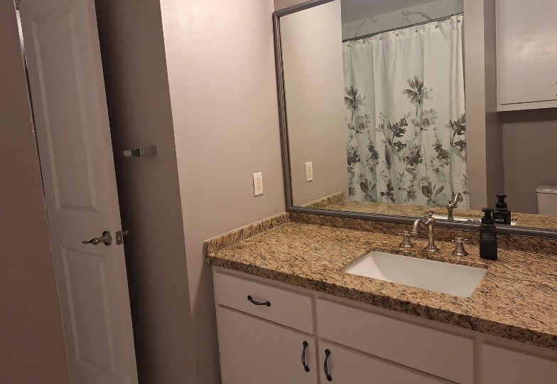 5207 Cornish Street Houston, TX 77007 - Photo 5 of 22 Secondary attached Full Bathroom on first floor