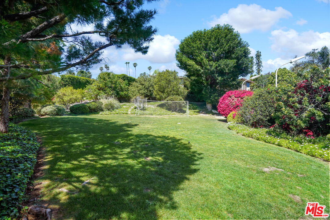 16814 Oak View Drive Encino, CA 91436 - Photo 45 of 49 a view of a flower in a garden