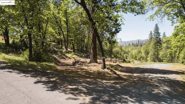 a view of a yard with a tree