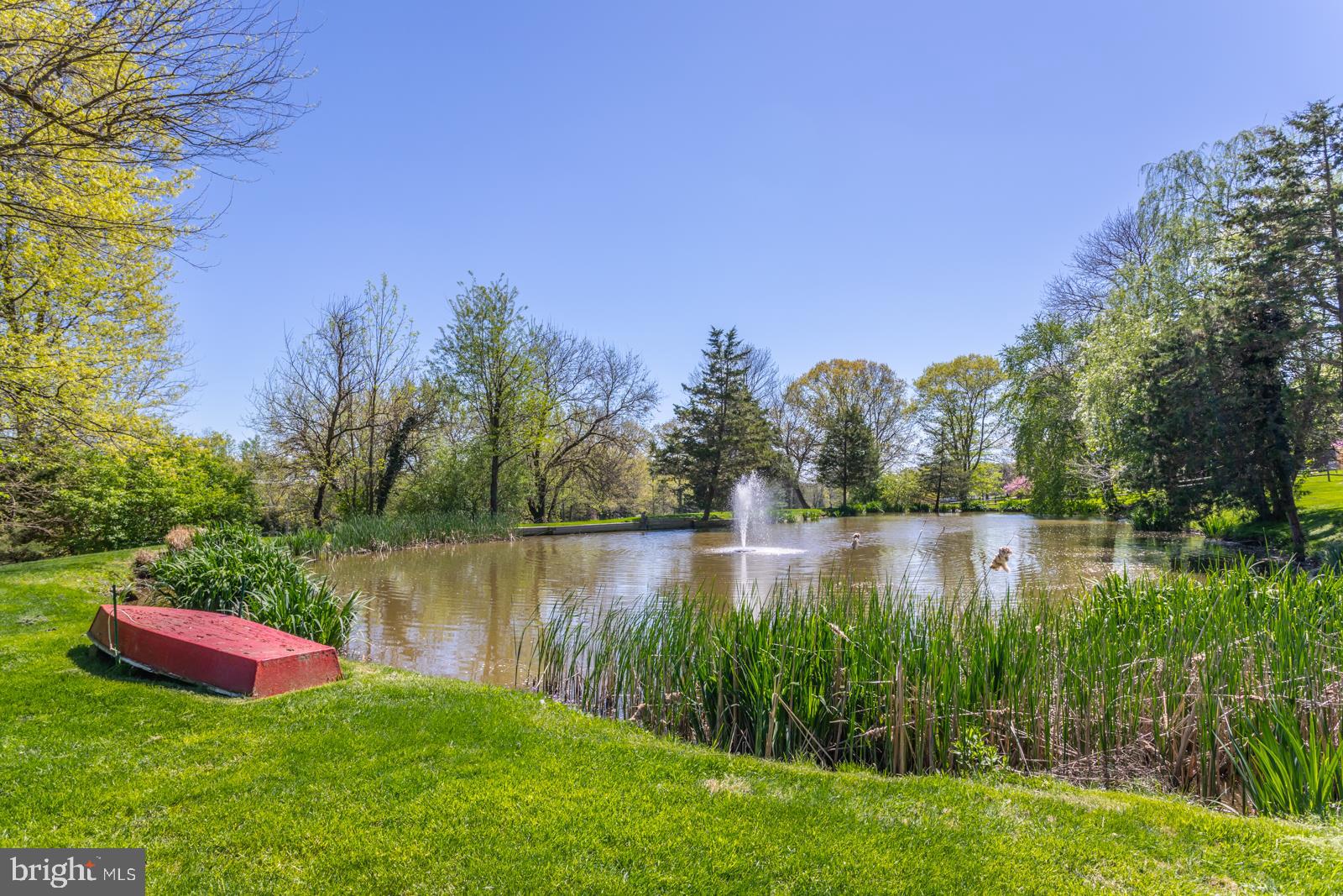 3875 Curly Hill Road Doylestown, PA 18902 - Photo 47 of 68 Gallery Image 47