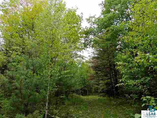 0 North Simons Road Hayward, WI 54843 - Photo 3 of 3 Gallery Image 3