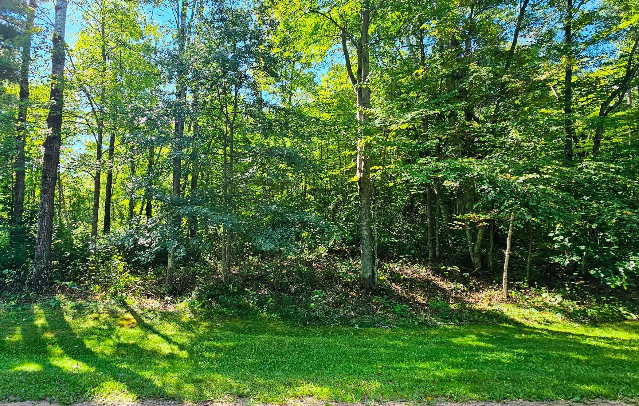 Tbd Racoon Lane Breezy Point, MN 56472 - Photo 14 of 14