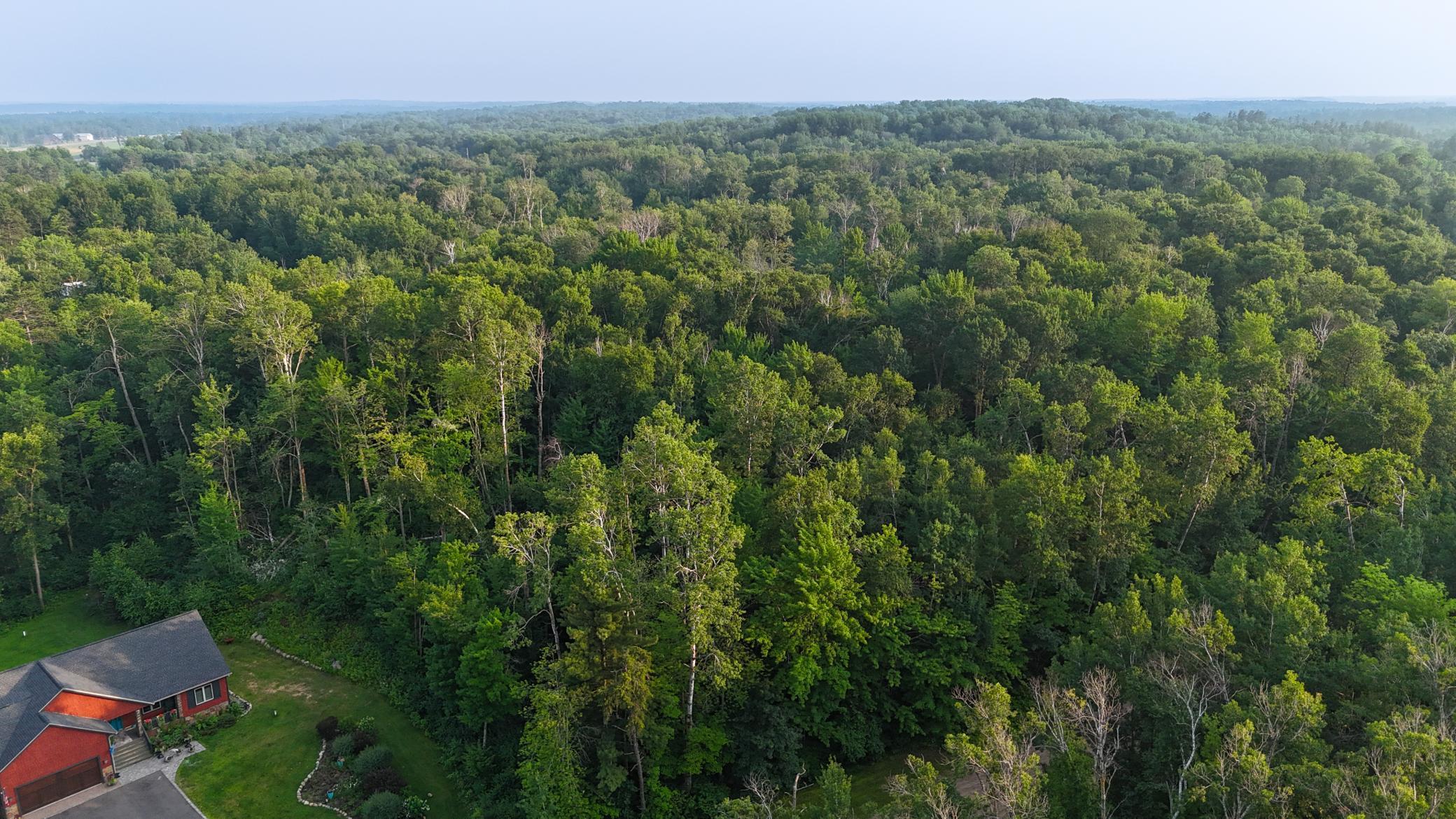 Tbd Racoon Lane Breezy Point, MN 56472 - Photo 3 of 14