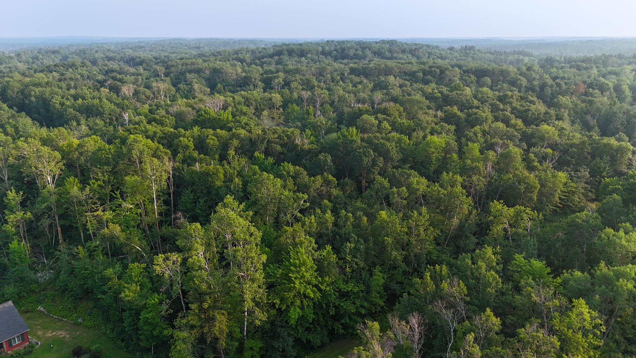 Tbd Racoon Lane Breezy Point, MN 56472 - Photo 4 of 14