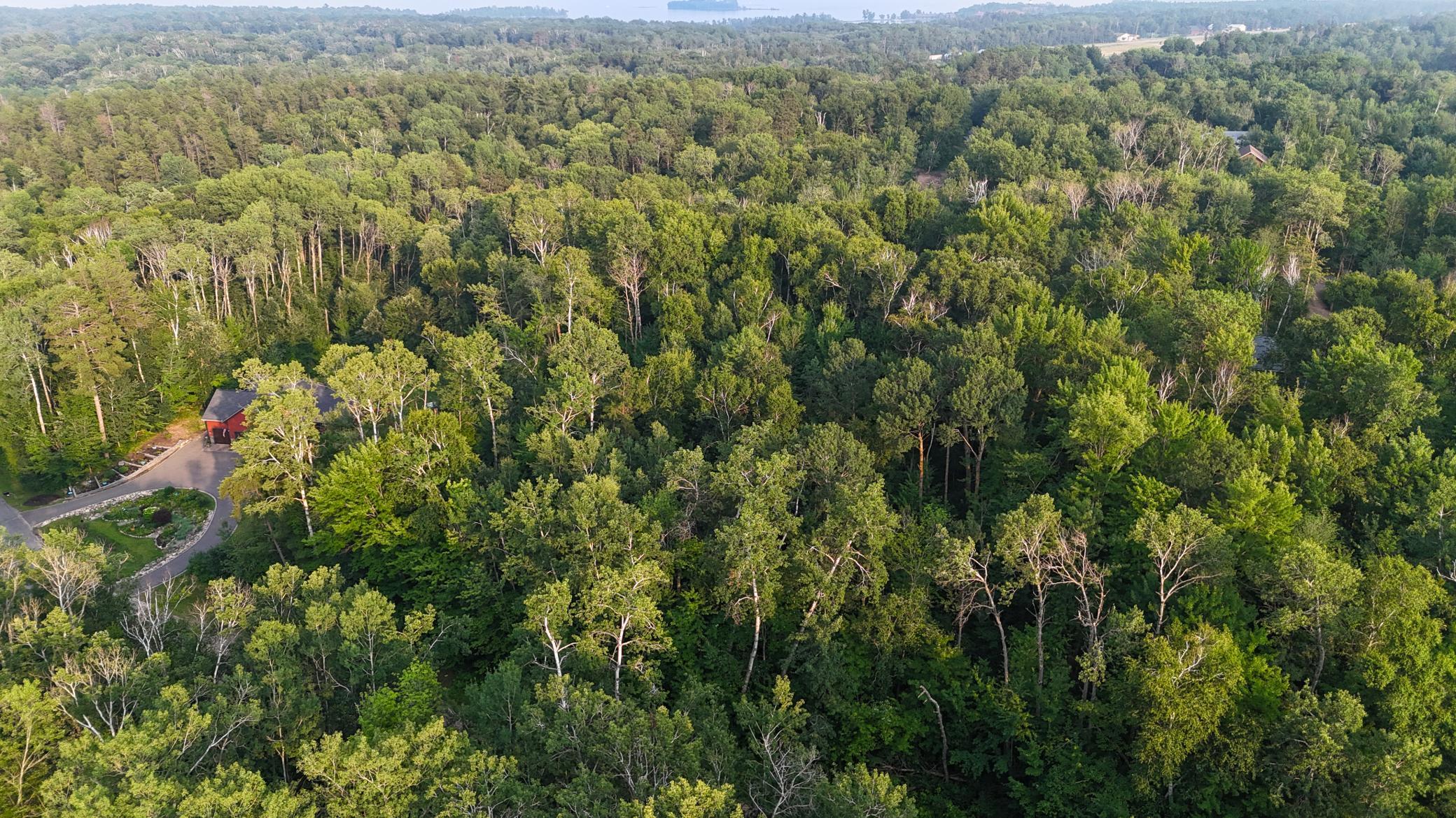 Tbd Racoon Lane Breezy Point, MN 56472 - Photo 5 of 14