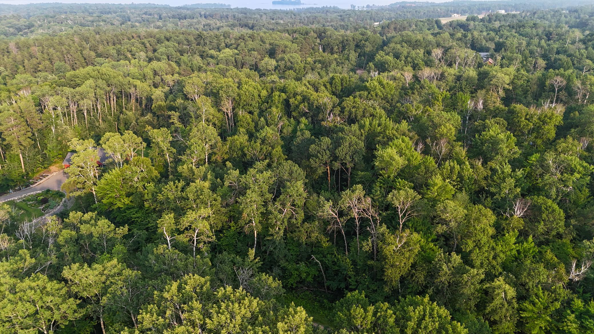 Tbd Racoon Lane Breezy Point, MN 56472 - Photo 6 of 14