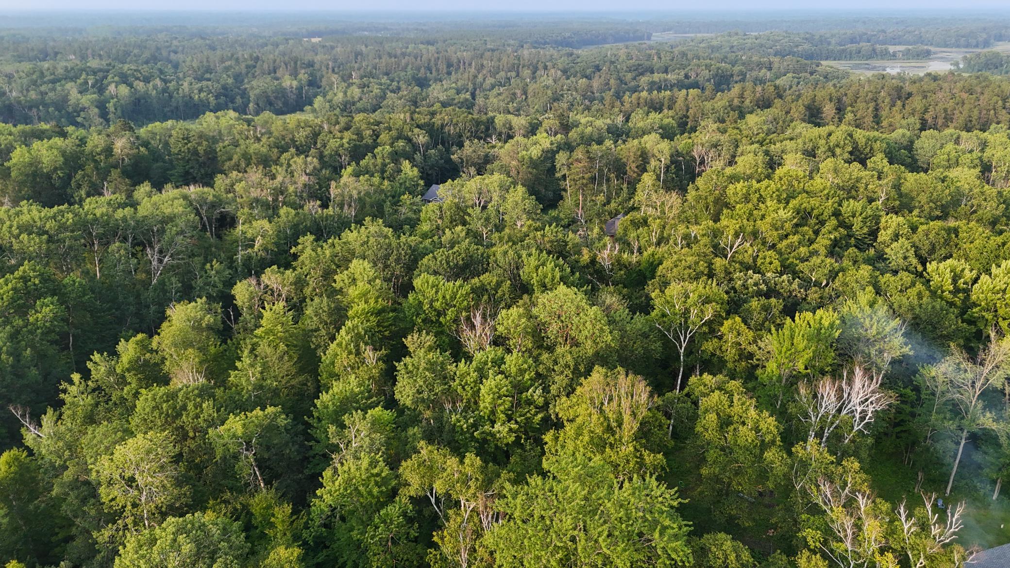 Tbd Racoon Lane Breezy Point, MN 56472 - Photo 8 of 14