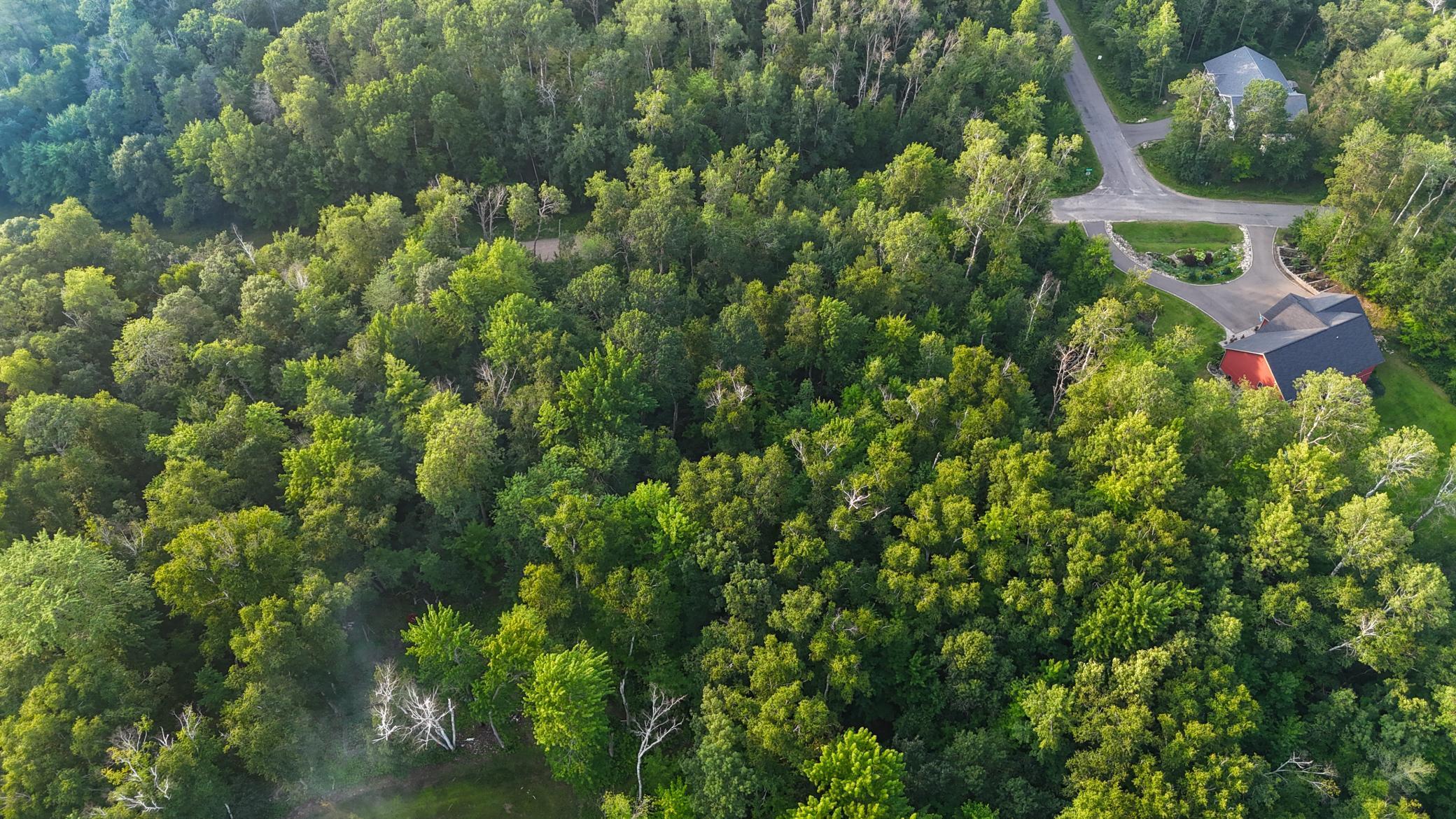 Tbd Racoon Lane Breezy Point, MN 56472 - Photo 10 of 14