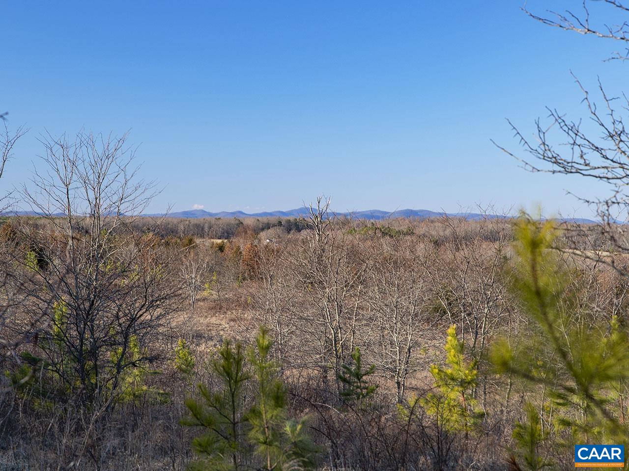 Tbd-1 Manteo Road Buckingham, VA 23921 - Photo 3 of 10 a view of a dry yard with trees in the background